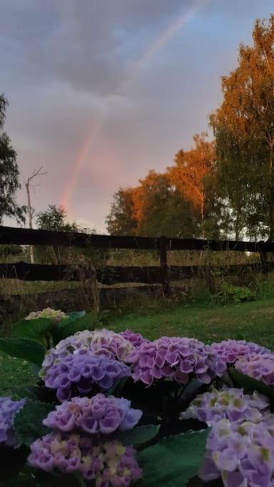 Poggenhagen Urlaub Mitten In Der Natur Neustadt am Rübenberge Εξωτερικό φωτογραφία